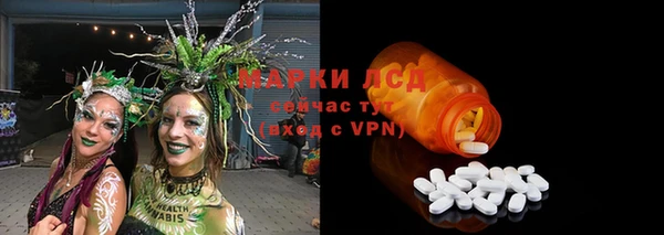 крисы Алексин
