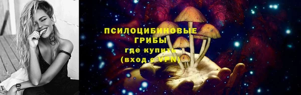 крисы Алексин