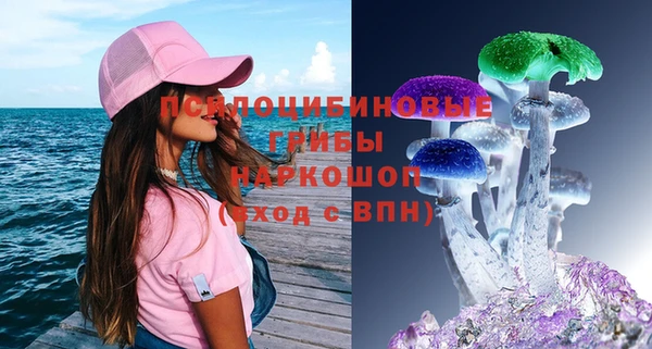 spice Алексеевка