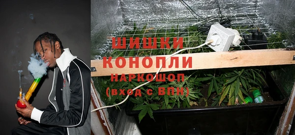 spice Алексеевка