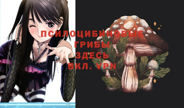 spice Алексеевка