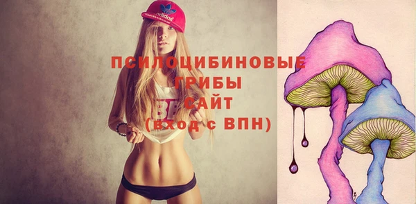 spice Алексеевка