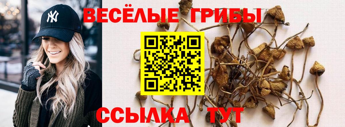 Галлюциногенные грибы Cubensis Богданович