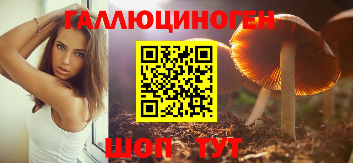 Богданович  Псилоцибиновые грибы Psilocybine cubensis  Вход с VPN 